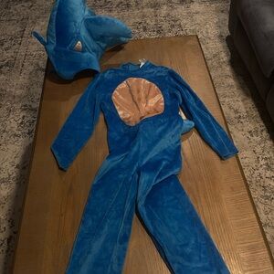 Sonic Costume